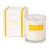 Andaluca Candle